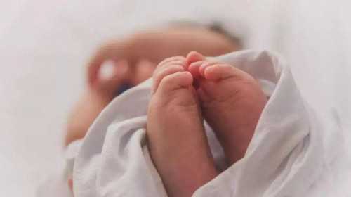 温州试管代怀技术 2023年温州试管婴儿医院排名好? ‘孕囊加胎芽看男女’
