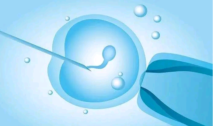 合肥有哪些代孕女妈妈,子宫内膜多厚适合试管移植？(试管婴儿移植冻胚内膜多