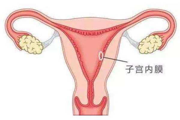 <strong>合肥哪里有做代孕的人,试管刮宫后再移植会不会</strong>