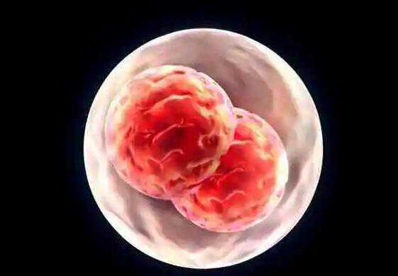 胚胎发育不全流产_子宫颈切除后怀孕_试管婴儿移植后3到10天症状一览